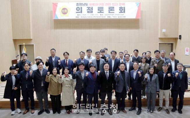 충청남도 프로야구장 건립 방안 모색