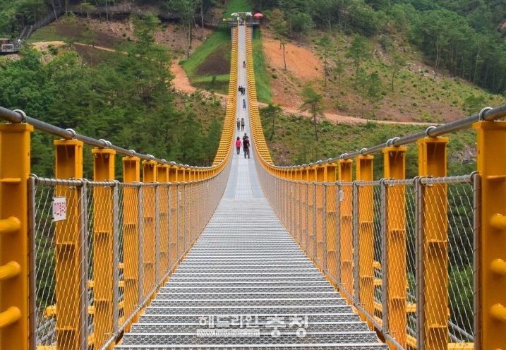 금산군 월영산 출렁다리