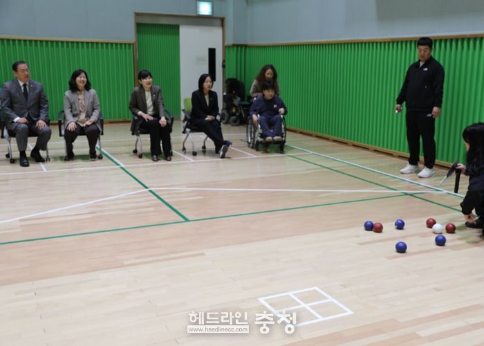 보치아 연습게임