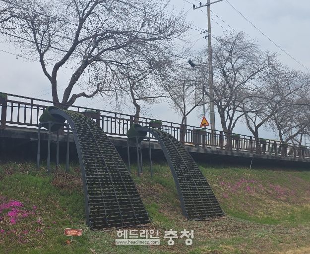 금산천 데크로 꽃폭포